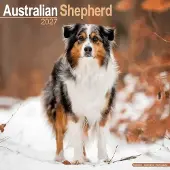 Avonside Publishing Ltd. Australian Shepherd Kalender 2027
