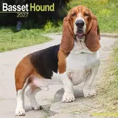 Avonside Publishing Ltd. Basset Hound Kalender 2027