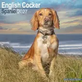 Avonside Publishing Ltd. Englischer Cocker Spaniel Kalender 2027