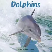 Avonside Publishing Ltd. Delfine Kalender 2027