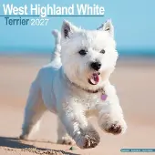 Avonside Publishing Ltd. West Highland White Terrier Kalender 2027