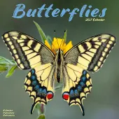 Avonside Publishing Ltd. Schmetterling Kalender 2027