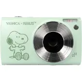 Yashica DP100 x Peanuts Salbei