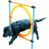 Pawise - Dog Agility Ring 55Cm - (636.9004)