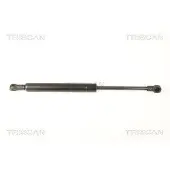 TRISCAN Gasfeder, Koffer-/Laderaum 8710 28241