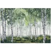 WALLARENA Fototapete Birkenwald in Grün | Gr.: 300 x 210 cm