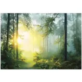 WALLARENA Fototapete Wald in Grün | Gr.: 250 x 175 cm