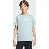 Adidas T-Shirt "J SL TEE 160" für Kinder, mit Rundhalsausschnitt, ohne Verschluss