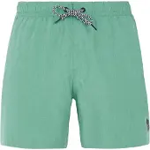 Protest Badeshorts Herren Davey Frosty Green-S