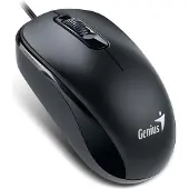 Genius DX-120 Maus Black Typ-C