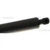TRISCAN Gasfeder, Koffer-/Laderaum 8710 29325