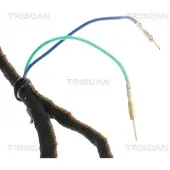 TRISCAN Gasfeder, Koffer-/Laderaum 8710 28302
