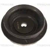 TRISCAN Federbeinstützlager 8500 43939