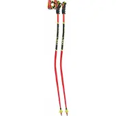 LEKI Herren Alpin-Skistock WCR TBS GS 3D