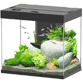 Aquatlantis Aquarium Splendid 110 inkl. Beleuchtung, Filter schwarz