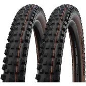 Schwalbe 2x Magic Mary 62-622 schwarz/bronze Super Trail TL-Easy 29x2.40