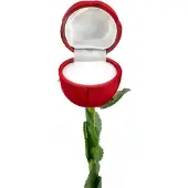 Beneto Rosenbox Serie KS11 (Produktcode)
