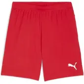 Puma teamGOAL Shorts Flock: - Größe: 3XL