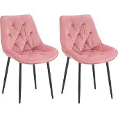 CLP 2er Set Esszimmerstuhl Wallace I Moderner Polsterstuhl mit Samtbezug rosa