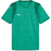 Puma Teamcup Trikot Kurzarm Herren - Grün