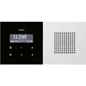 Gira 2280112 Unterputz-Radio RDS Flächenschalter