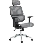 CLP Bürostuhl Deshler höhenverstellbar drehbar und ergonomisch | Farbe grau