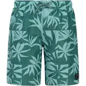 Protest William Badeshorts