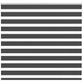 vidaXL Doppelrollo Schwarz 155x150 cm Stoffbreite 150,9 cm Polyester