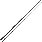 Westin 218cm XXH 50-150g W4 Powershad-T 2nd - Baitcaster Spinnrute