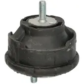 Delphi Motorträger TEM127