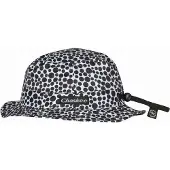 Chaskee Junior Bob New Dots