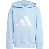 Adidas Essentials Big Logo Kapuzenpullover