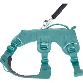 Ruffwear Web Master Harness - M - River Rock Green