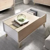 Dmora Couchtisch Cuna 99x60x41h cm Braun, mit Ablagefach