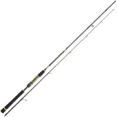 Daiwa Crosscast Shore Game I Jiggingrute