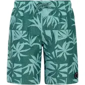 Protest William Badeshorts