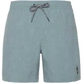 Protest Herren Badeshorts DAVEY beachshort