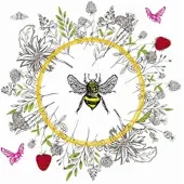 Duni 240 Tissue-Servietten 33 x 33 cm Bee Loved 3-lagig