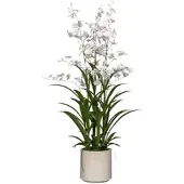 Creativ Green künstliche Pflanze Oncydie im Topf, 98cm, weiß