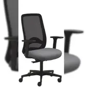 Mayer Sitzmöbel , Drehstuhl 2228, Grau, 2228_AV3D_SYM++_30614