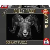 Schmidt Spiele 58540, Junge/Mädchen, Mehrfarbig, Junge/Mädchen