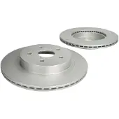 Delphi Bremsscheiben BG5014C hinten, belüftet, voll, 2 Stück