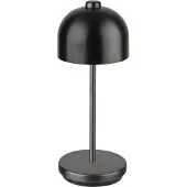 Assheuer & Pott APS 17051 JOSEF Mini Kabellose USB-C Tischleuchte, Fartemperatur und Helligkeit einstellbar, spritzwasssergeschützt IP 54, inkl. Dockinstation und Fernbedienung, gunmetal