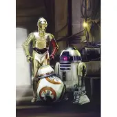 Komar Fototapete "STAR WARS Three Droids - Größe 184 x 254 cm" bedruckt glatt Kinderzimmer