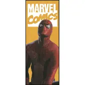 Overig Vliestapete "Digitaldruck Vlies - Spider-Man Comic - Größe 100 x 250 cm" bedruckt glatt Kinderzimmer