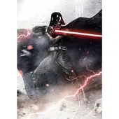 Overig Vliestapete "Digitaldruck Vlies - Star Wars Vader Dark Forces - Größe 200 x 280 cm" bedruckt glatt Kinderzimmer
