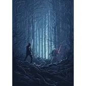 Overig Vliestapete "Digitaldruck Vlies - Star Wars Wood Fight - Größe 200 x 280 cm" bedruckt glatt Kinderzimmer