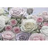 Komar Fototapete "Floraison - Größe 368 x 254 cm" bedruckt glatt Wohnzimmer, Schlafzimmer