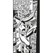 Overig Vliestapete "Digitaldruck Vlies - Spider-Man Classic Climb - Größe 100 x 200 cm" bedruckt glatt Kinderzimmer