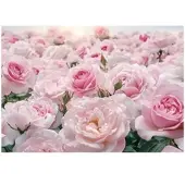 WALLARENA Fototapete Blumen in Rosa | Gr.: 150 x 105 cm